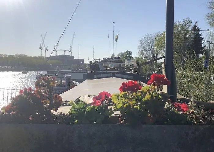 هاوس بوت تانت