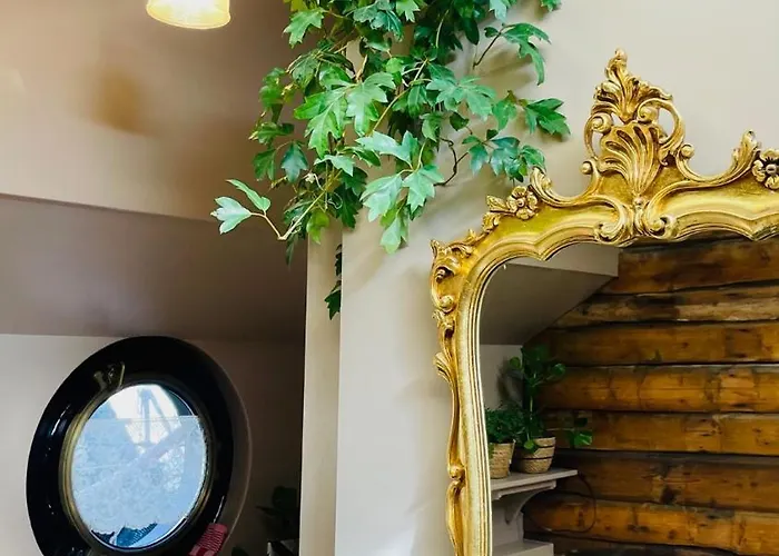 هاوس بوت تانت بوتيل