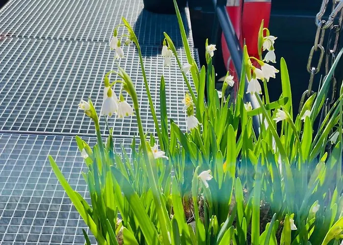 Botel Houseboat Tante Piet